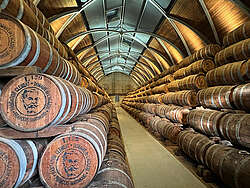 Habitation Clement barrel warehouse