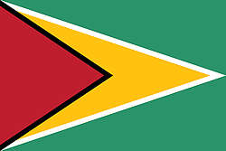 Flag of Guyana Flag of Guyana
