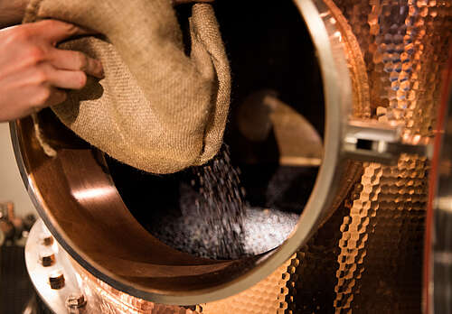 Juniper in the gin still from Hayman's Juniper in the gin still from Hayman's