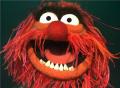 schmidly