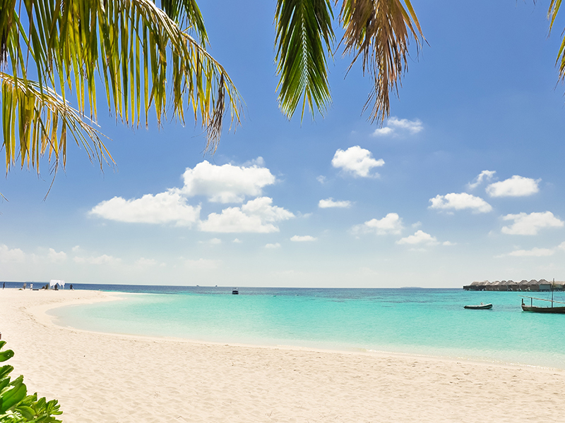 Beach in the Caribbean