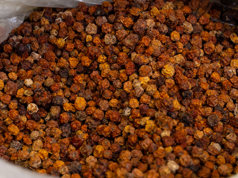 Juniper
