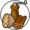 Spices
