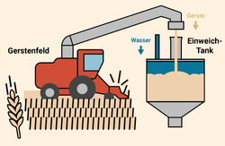 Grain from the field to the tank
